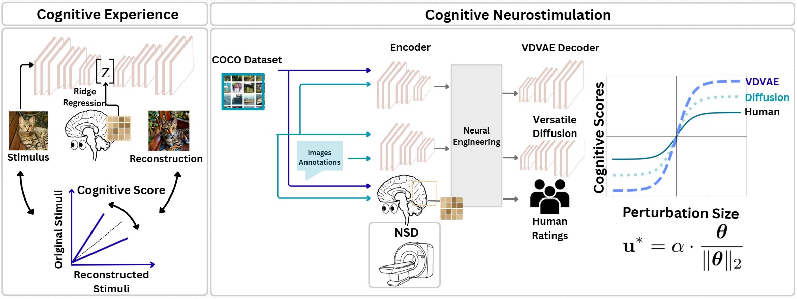 Study overview figure showing cognitive experience, cognitive neurostimulation, encoders, decoders, human ratings, and perturbation scoring.